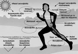 images (1)