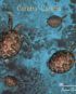 Caretta deep Zakynthos Troper Caretta deep Zakynthos Troper