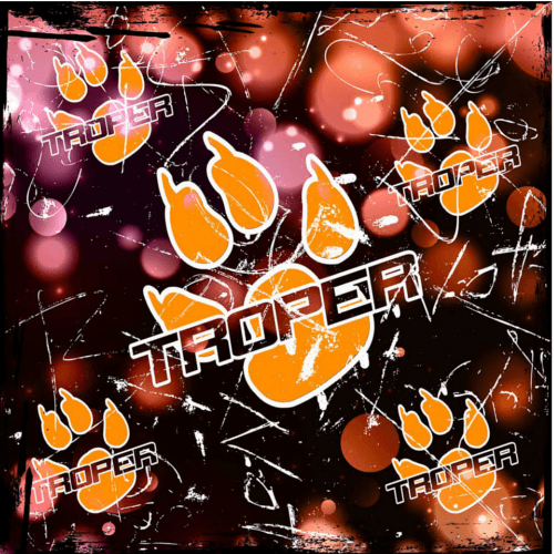 bandana tube summer tribal