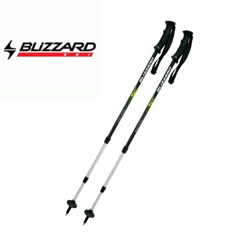 blizzard-poles